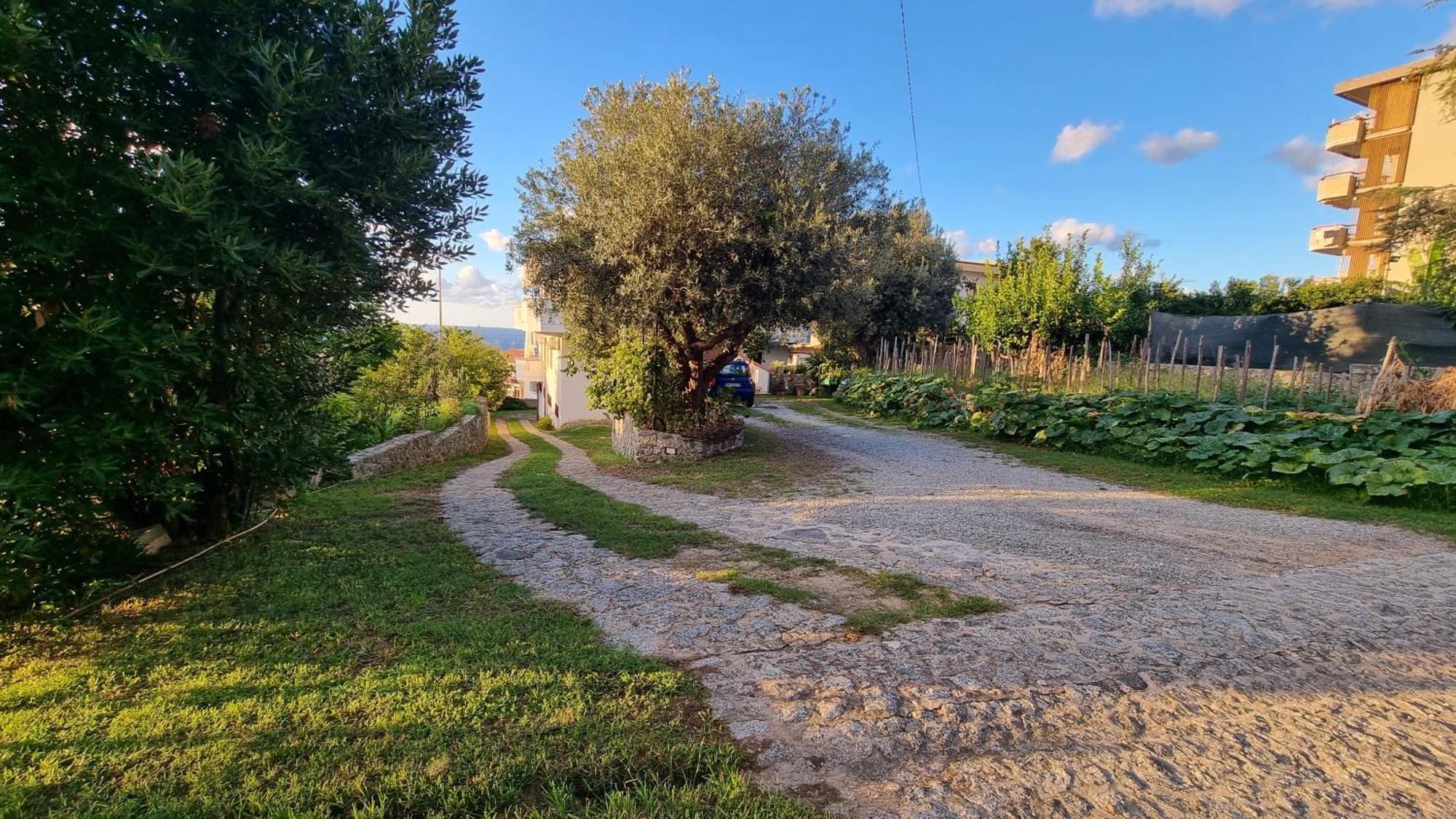 Villa Eugenia Тропеа Екстериор снимка